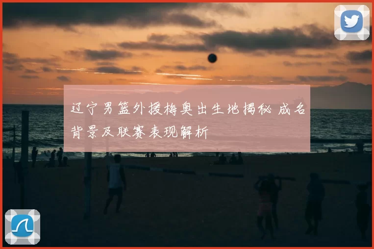 辽宁男篮外援梅奥出生地揭秘 成名背景及联赛表现解析