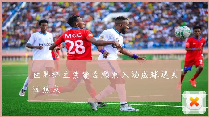 世界杯主票能否顺利入场成球迷关注焦点