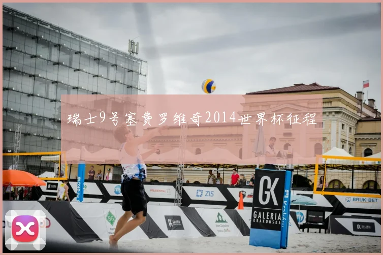 瑞士9号塞费罗维奇2014世界杯征程